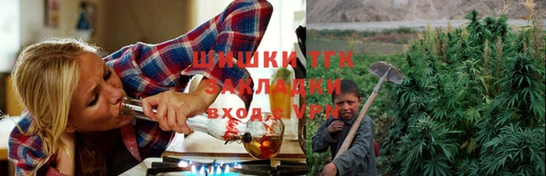 ALPHA PVP Верея